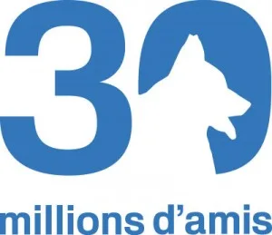 30MILLIONSDAMIS_preview